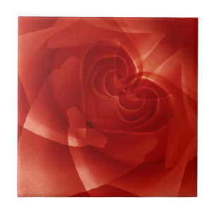 Azulejo De Cerámica EE. UU., Colorado, Lafayette. Montaje de rosa roja
