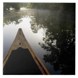 Azulejo De Cerámica EE.UU., Florida, Bosque Nacional Ocala, Alexander