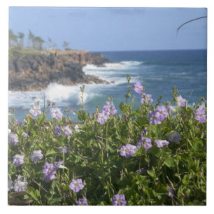 Azulejo De Cerámica EE.UU., Hawaii, Kauai, cerca de Kapaa, noroeste
