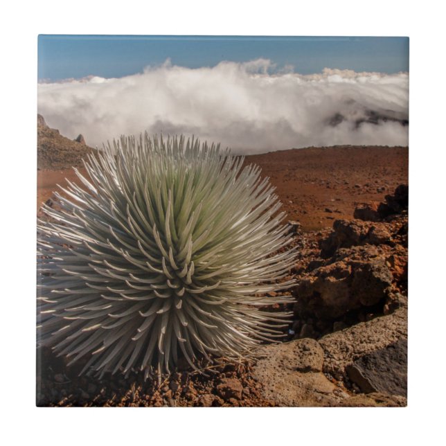 Azulejo De Cerámica EE.UU., Hawaii, Maui, Parque Nacional Haleakala (Frente)