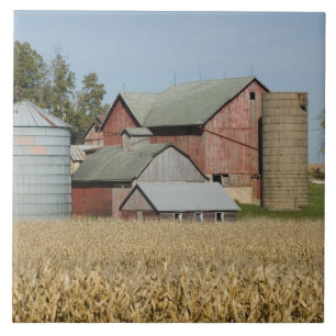 Azulejo De Cerámica EE. UU., IOWA, Froelich: Granja antigua