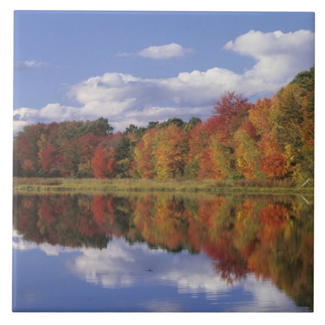 Azulejo De Cerámica EE. UU., Massachusetts, Acton. Reflejo de otoño (Frente)