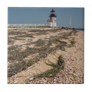 Azulejo De Cerámica EE.UU., Massachusetts, Nantucket.Rosa bebe