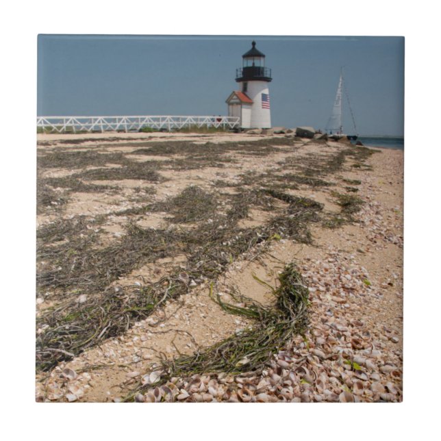 Azulejo De Cerámica EE.UU., Massachusetts, Nantucket.Rosa bebe (Frente)