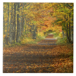 Azulejo De Cerámica EE. UU., Michigan, Península Superior. Carretera h