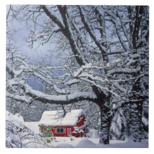 Azulejo De Cerámica EE. UU., Oregón, condado de Clackamas. Nieve fresc