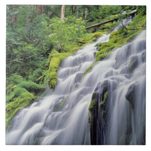Azulejo De Cerámica EE. UU., Oregón, Proxy Falls. Proxy Falls se preci