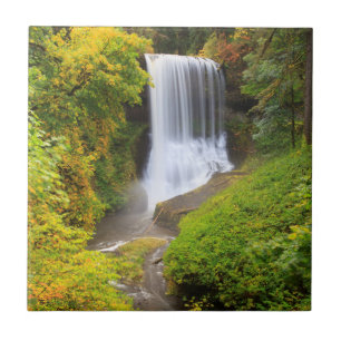 Azulejo De Cerámica EE.UU., Oregón, Silver Falls State Park 3