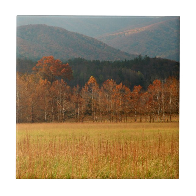 Azulejo De Cerámica EE.UU., Tennessee. Cades Cove En La Montaña Humean (Frente)