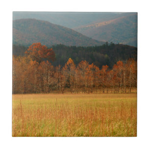 Azulejo De Cerámica EE. UU., Tennessee. Cades Cove en Smoky Mountain