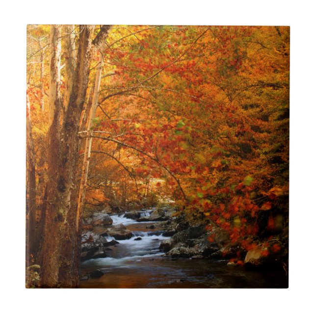 Azulejo De Cerámica EE.UU., Tennessee. Creek de montaña rusa 2 (Frente)