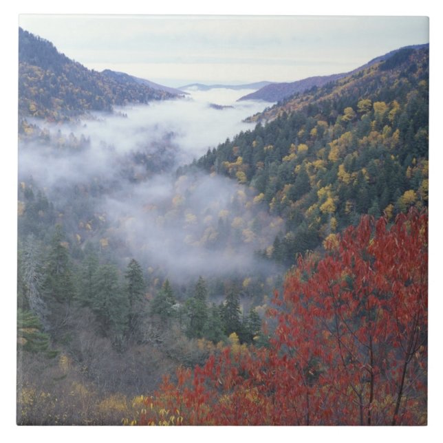 Azulejo De Cerámica EE.UU., Tennessee, Great Smokey Mountains National (Frente)