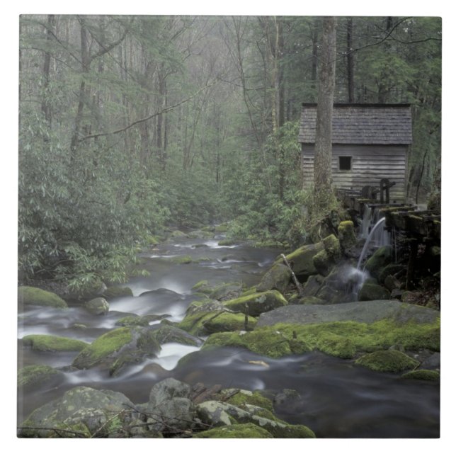 Azulejo De Cerámica EE.UU., Tennessee, Great Smoky Mountains National  (Frente)