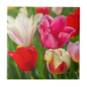 Azulejo De Cerámica EE.UU., Tennessee, Nashville