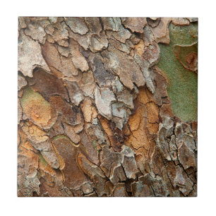 Azulejo De Cerámica EE. UU., Tennessee, Primer Plano De La Corteza De