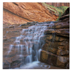 Azulejo De Cerámica EE. UU., Utah, Escalante Wilderness.  Cascada en