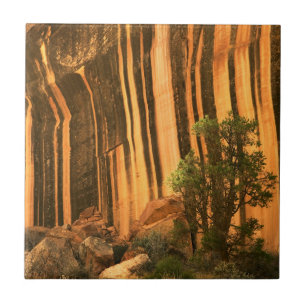 Azulejo De Cerámica EE. UU., Utah, Parque Nacional Capitol Reef