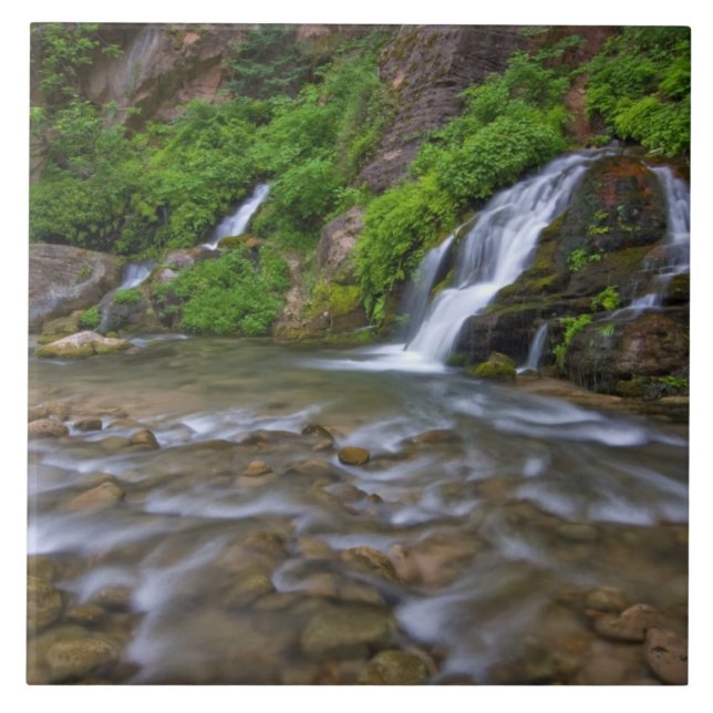 Azulejo De Cerámica EE.UU., Utah, Parque Nacional Zion.  Big Springs i (Frente)
