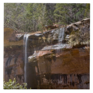 Azulejo De Cerámica EE. UU., Utah, Parque Nacional Zion, Cascadas en