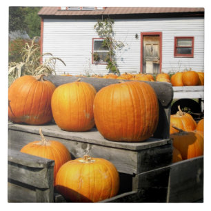 Azulejo De Cerámica EE. UU., Vermont. Calabazas