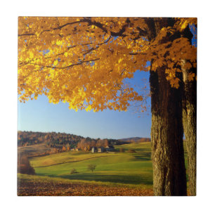 Azulejo De Cerámica EE. UU., Vermont. Escenario agrícola cerca de Sout