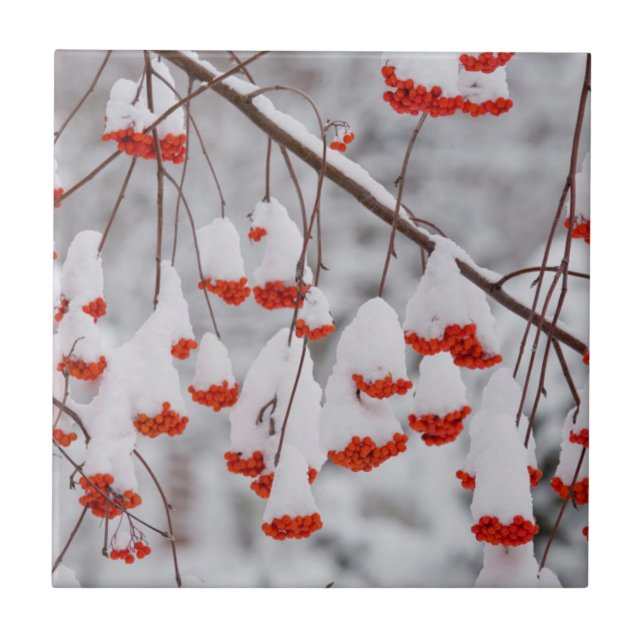 Azulejo De Cerámica EE.UU., Washington, condado de Spokane (Frente)