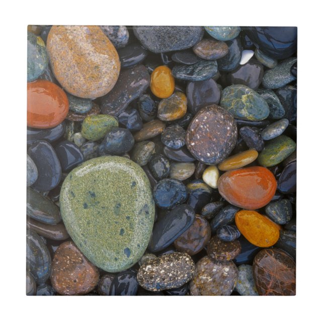 Azulejo De Cerámica EE.UU., Washington, Isla de López, Agate Beach (Frente)