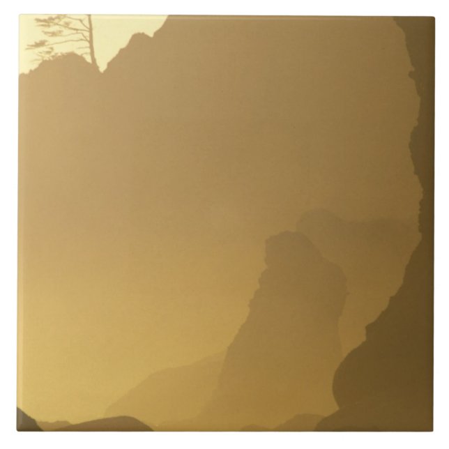 Azulejo De Cerámica EE.UU., Washington, Olympic Nat'l Park, Sunset, (Frente)