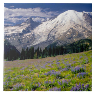 Azulejo De Cerámica EE. UU., Washington, Parque Nacional Mt. Rainier.