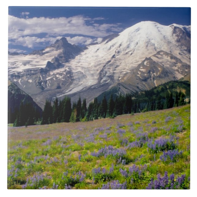 Azulejo De Cerámica EE. UU., Washington, Parque Nacional Mt. Rainier. (Frente)