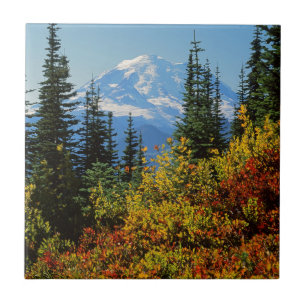 Azulejo De Cerámica EE. UU., Washington, Parque Nacional Mt. Rainier 2