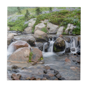 Azulejo De Cerámica EE. UU., Washington, Parque Nacional Mt. Rainier 3