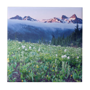 Azulejo De Cerámica EE. UU., Washington, Parque Nacional Mt. Rainier 4