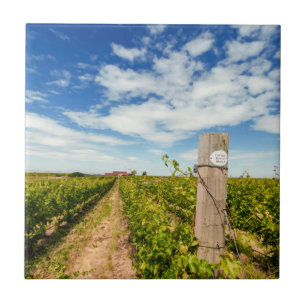 Azulejo De Cerámica EE. UU., Washington, Walla Walla. Cabernet Sauvign