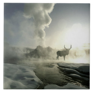 Azulejo De Cerámica EE. UU., Wyoming, Parque Nacional Yellowstone. Ama
