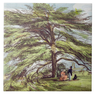 Azulejo De Cerámica El árbol de cedro de Líbano en el arboreto, Kew