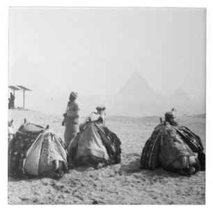 Azulejo De Cerámica El Cairo Egipto, Jinetes de Camellos Pirámides de