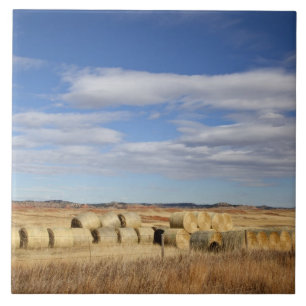 Azulejo De Cerámica El condado de Crook, balas de heno