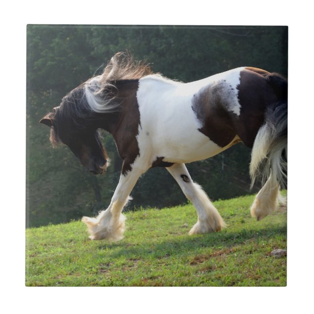 Azulejo De Cerámica El gitano Vanner (Frente)