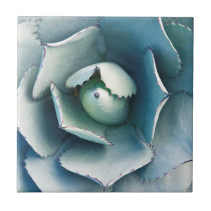 Azulejo De Cerámica El Jardín Botánico de Huntington