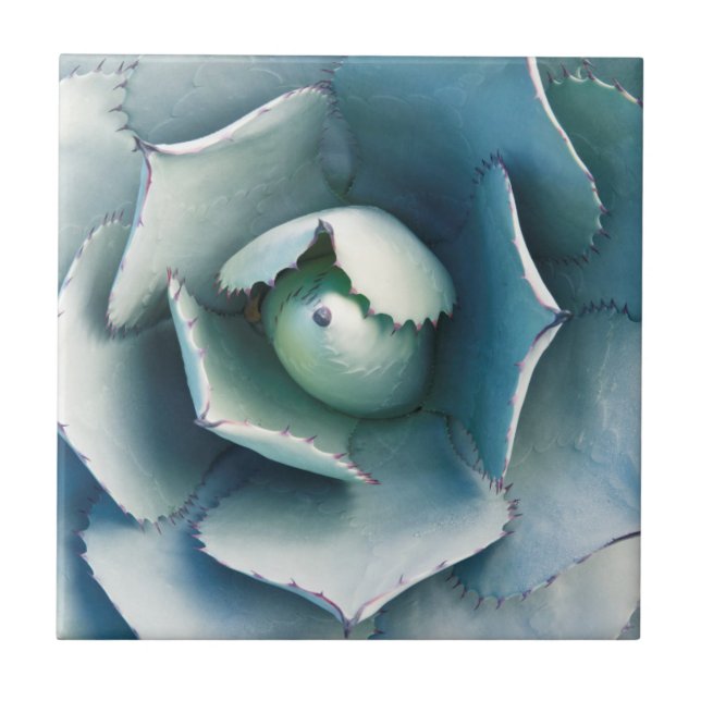 Azulejo De Cerámica El Jardín Botánico de Huntington (Frente)