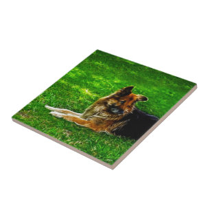 Azulejo De Cerámica El mejor amigo #1 del hombre