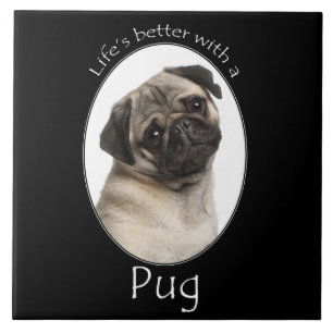 Azulejo De Cerámica El mejor mosaico de pug de la vida