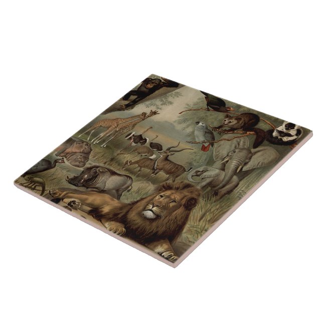 Azulejo De Cerámica El mosaico de la jungla de época (Lado)