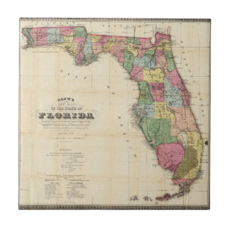 Azulejo De Cerámica El nuevo mapa Drew's del estado de la Florida