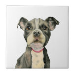 Azulejo De Cerámica El "perrito observa" la pintura de la acuarela del<br><div class="desc">Ésta es una pintura de la acuarela de un perrito blanco y negro del pitbull. Es un cierre para arriba del perro con los ojos de mirada esperanzados grandes. Esto fue pintada en el papel presionado caliente Arched con las pinturas de la acuarela de Daniel Smith.</div>