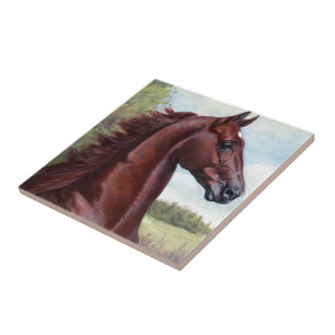 Azulejo De Cerámica El príncipe (príncipe mercantil del WC por Bello