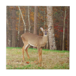 Azulejo De Cerámica El reno soñador de un cazador