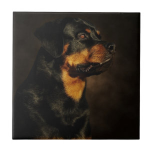 Azulejo De Cerámica El Rotty