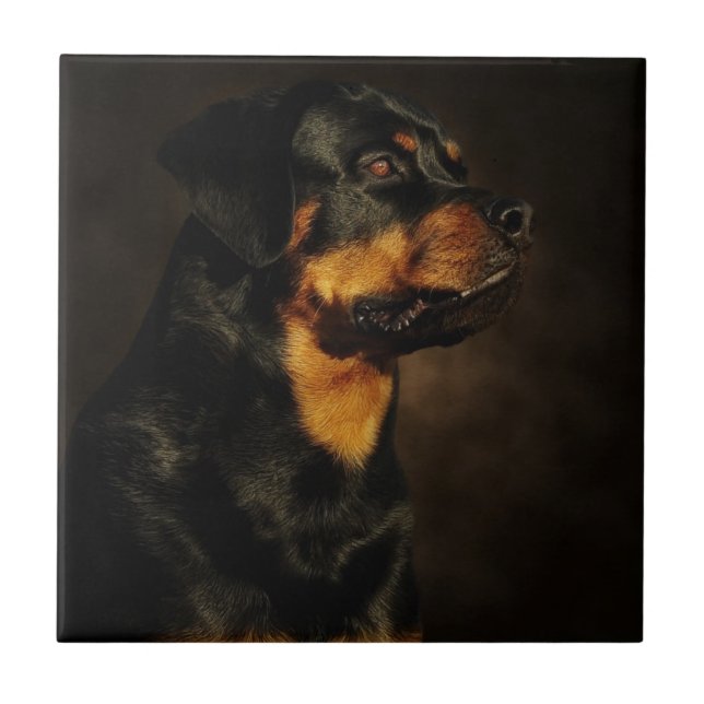 Azulejo De Cerámica El Rotty (Frente)